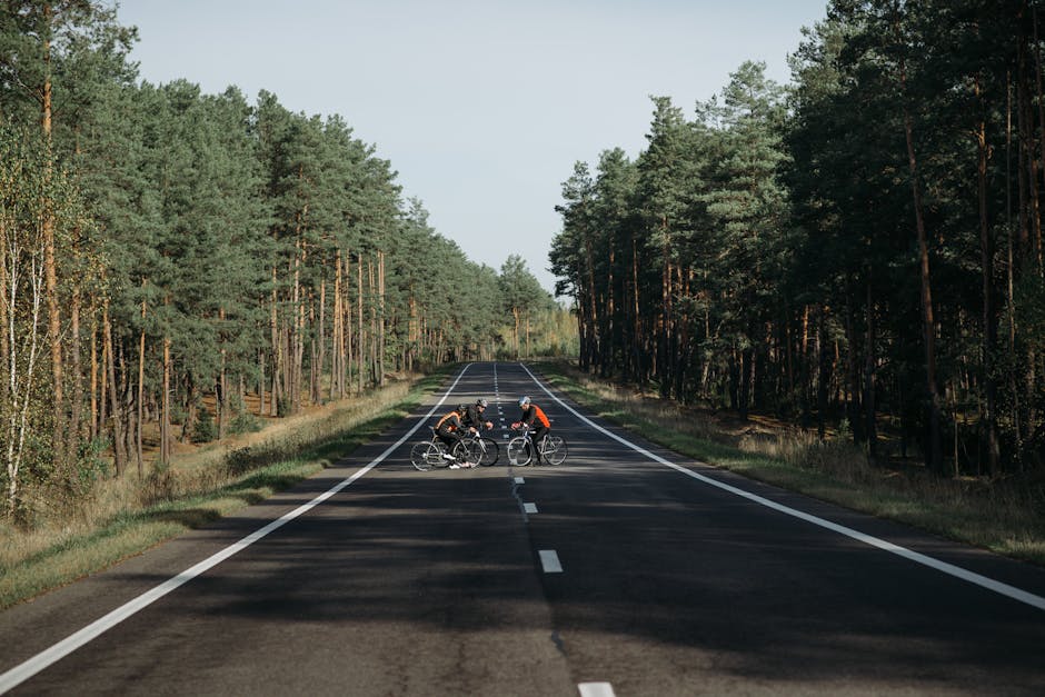 Asphalt Quadratmeterpreise: Investieren Sie entsprechend den Bedürfnissen des Jahres