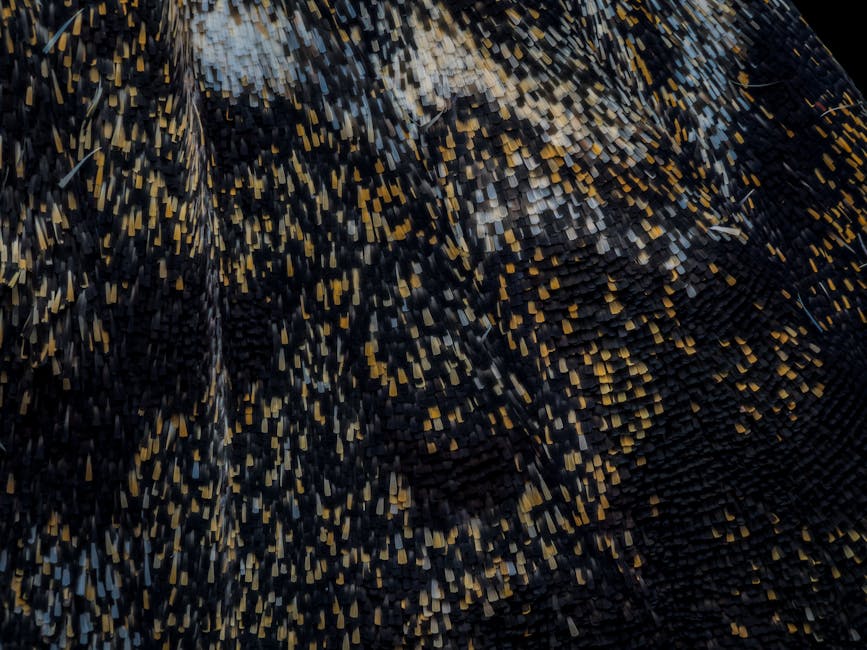 Verleihen Sie Ihren Parkplätzen Eleganz mit buntem Asphalt