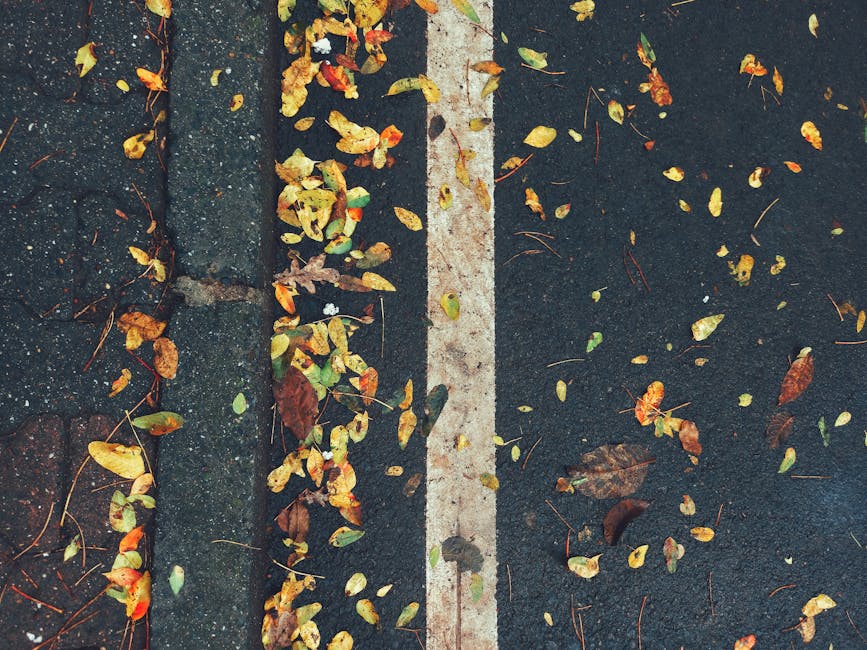 Ankaras Asphaltierungsdienste für Parkplätze: Setzen Sie Akzente mit bunten Optionen