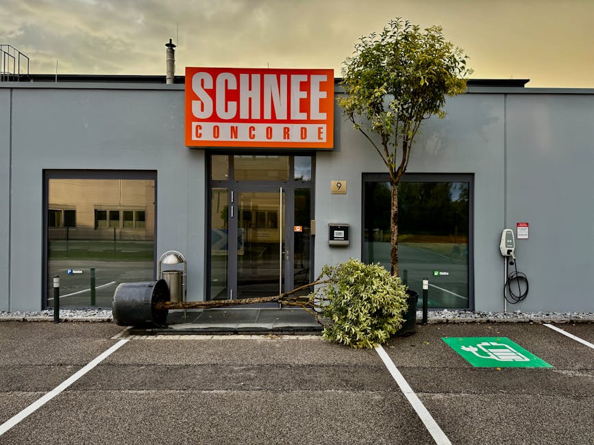 Innovative Ansätze in Asphaltanwendungen: Besondere Bereiche und Preisgestaltung