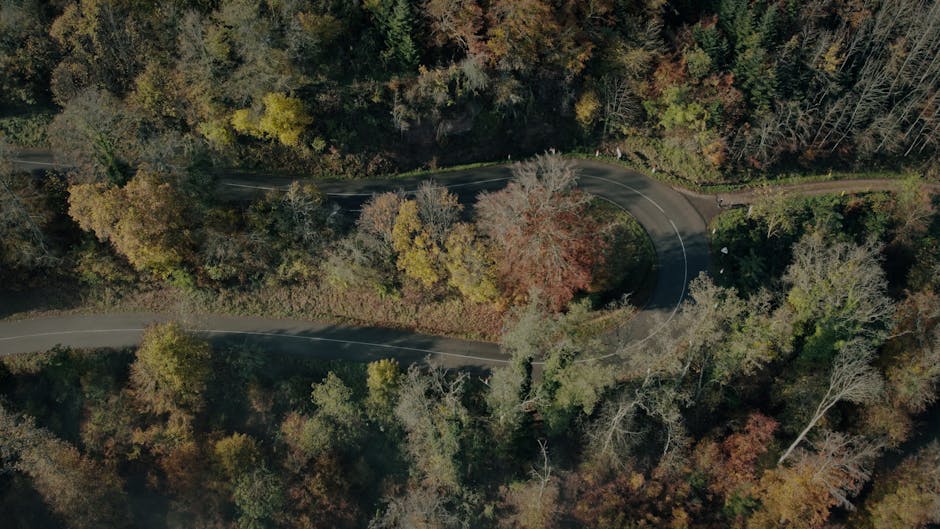 In die Tiefen der Asphaltpreise eintauchen: Wer wird die Straßen bauen?