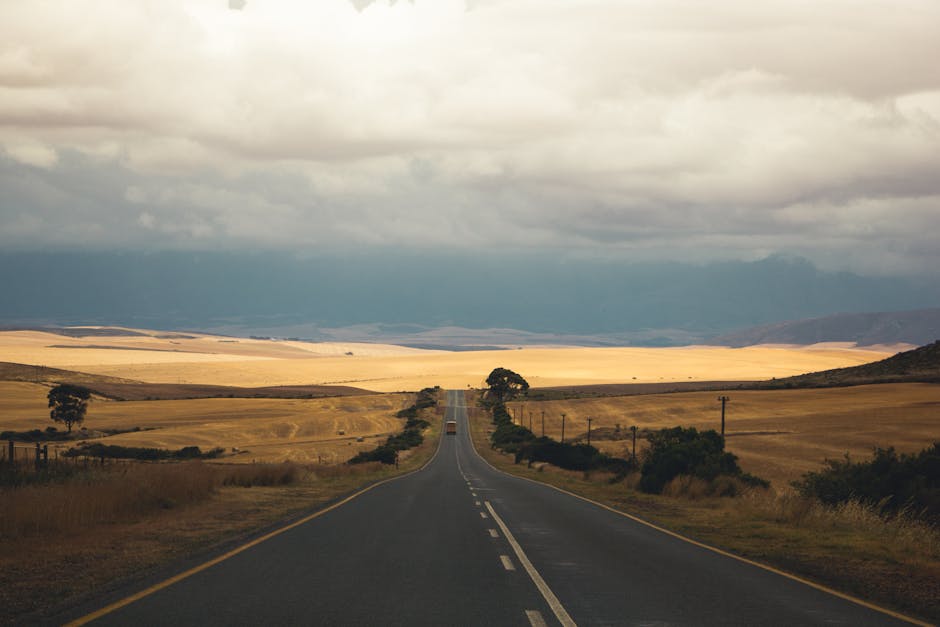 Spezialisierte Asphaltunternehmen: Experten, die die Zukunft der Straßen bauen