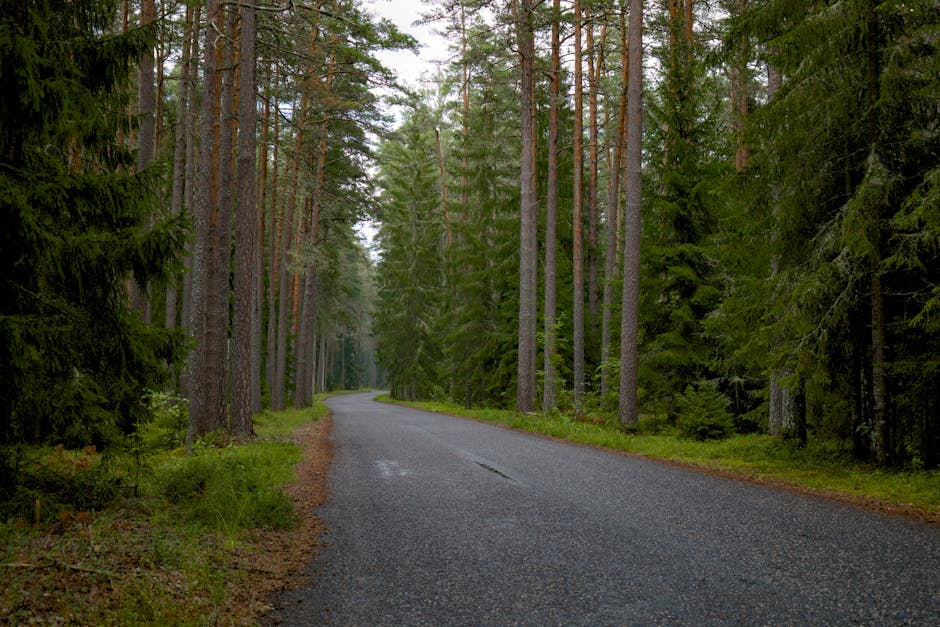 Stadtstraßen: Wer ist verantwortlich und wie hoch sind die Kosten?